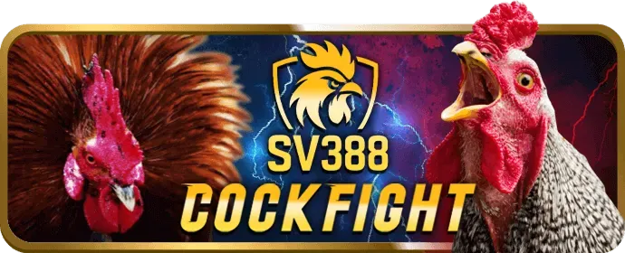 Ví điện tử Momo ZaloPay tại 7777x casino